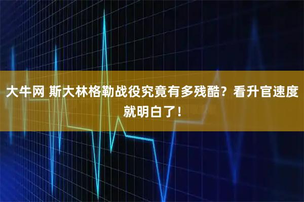 大牛网 斯大林格勒战役究竟有多残酷？看升官速度就明白了！
