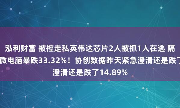 泓利财富 被控走私英伟达芯片2人被抓1人在逃 隔夜美股超微电脑暴跌33.32%！协创数据昨天紧急澄清还是跌了14.89%